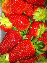 Strawberry Tiramisu easy