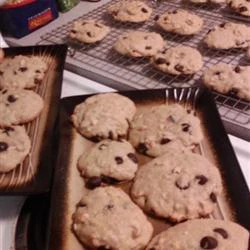 The Best Chocolate Chip Cookie Recipe Ever