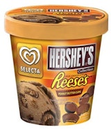 Hershey's Peanut Butter Cup Ice Cream
