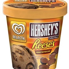 Hershey's Peanut Butter Cup Ice Cream