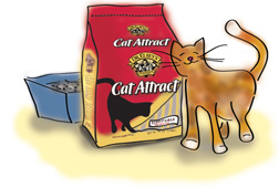 Dr. Elsey s Cat Attract Litter Review SheSpeaks