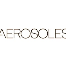 Aerosoles Shoes