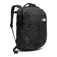 North face women's sales borealis backpack review