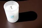 Bath and Body Works Tranquil Mint Candle