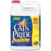 What is the outlet best scoopable cat litter