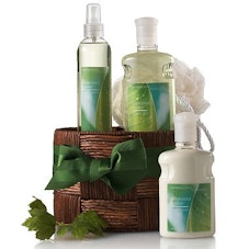 Bath & Body Works Rainkissed Leaves Products