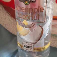 Clover Valley Pineapple Coconut Sparkling Water