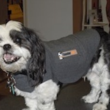 Thundershirt Dog Anxiety Treatment Wrap Review SheSpeaks
