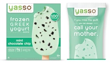 Yasso Mint Chocolate Chip Frozen Greek Yogurt Bar