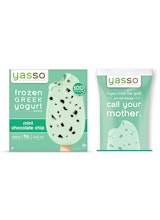 Yasso Mint Chocolate Chip Frozen Greek Yogurt Bar
