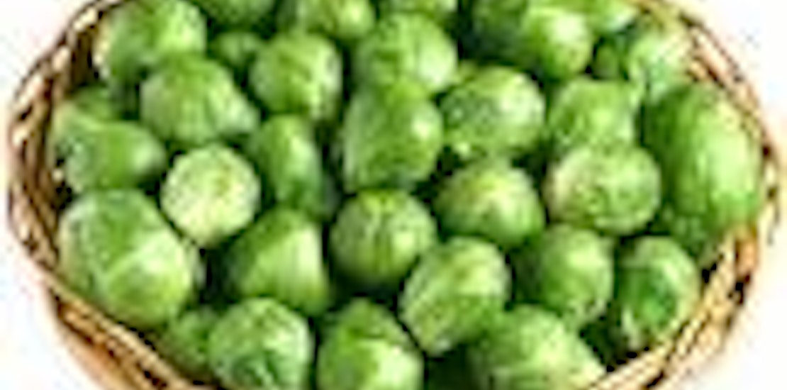 The Winter Food Guide SheSpeaks the-winter-food-guide-shespeaks